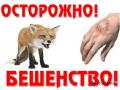 QlszK2Tf0pA.jpg