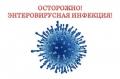 enterovirus_d_22.jpg
