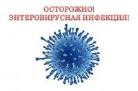 enterovirus_d_22.jpg